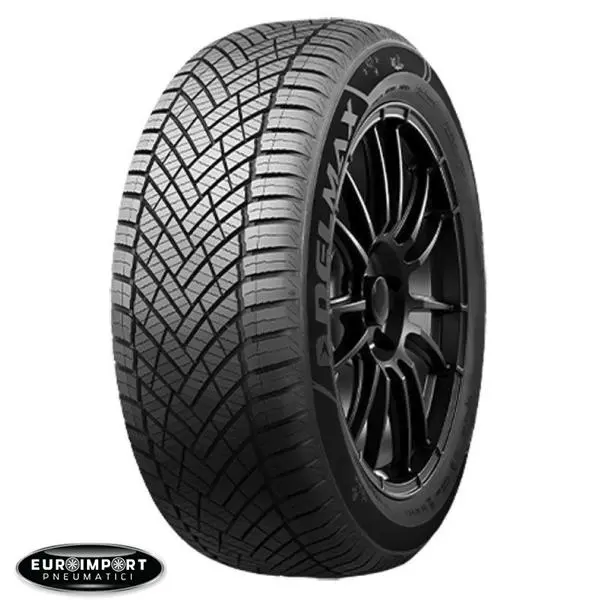 Delmax X Weather 2 4S  215/55 R16 97 W  XL 